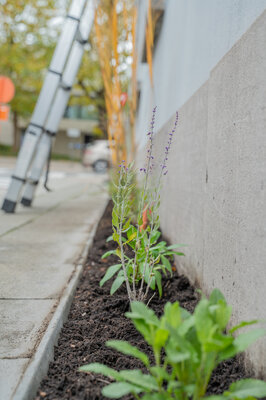 Toekomststraat (c) Kortrijk