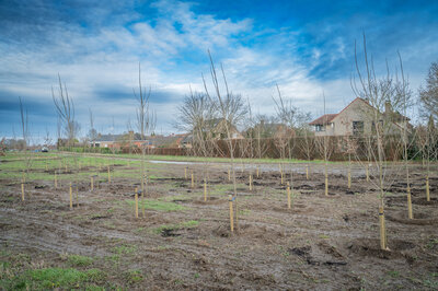 De Groene Verbinding (c) Kortrijk
