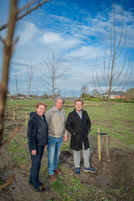 De Groene Verbinding (c) Kortrijk