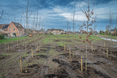 De Groene Verbinding (c) Kortrijk