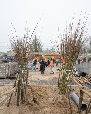 geboortebos (c) Kortrijk