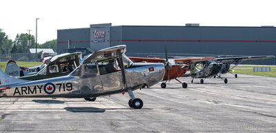 Birddog 12