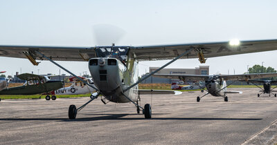 Birddog 14