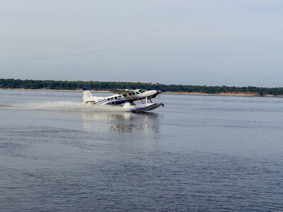 Floats_7649