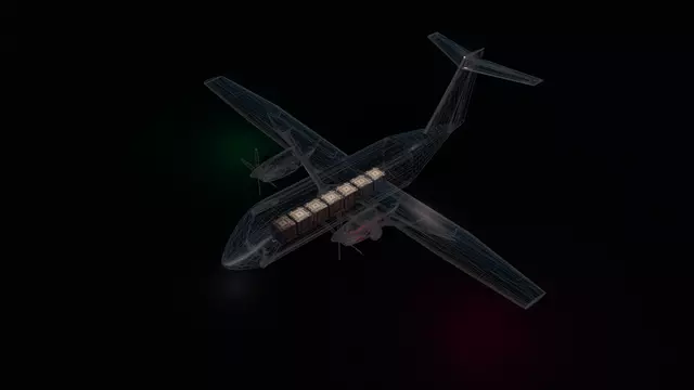 Cessna SkyCourier UX.12