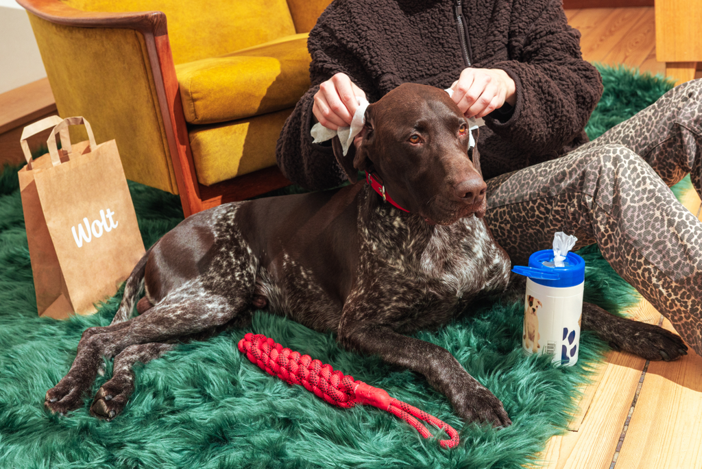 Wolt_Pet_photos-03-1024x684.png