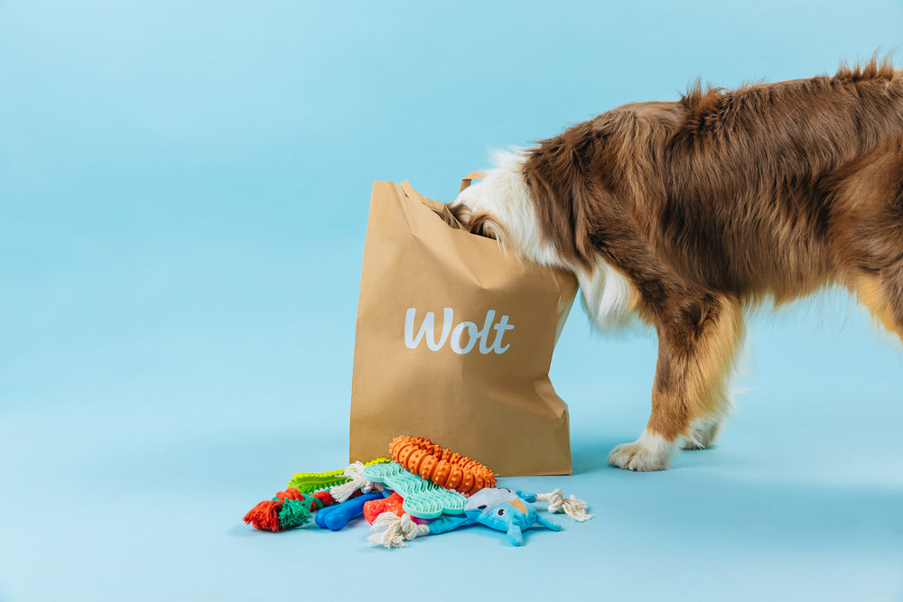 Love your pet day_foto.png