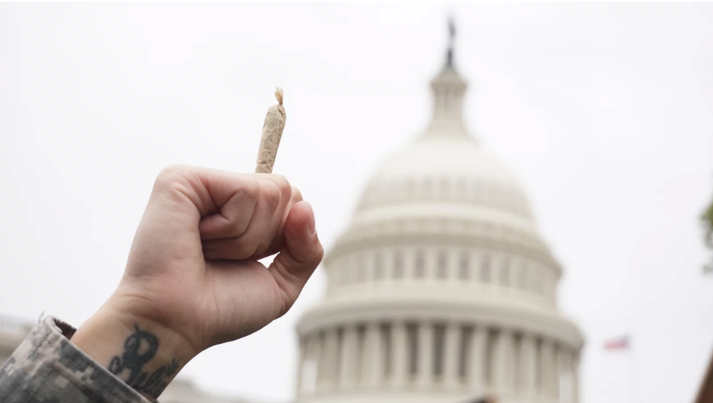 The Data On Legalizing Weed