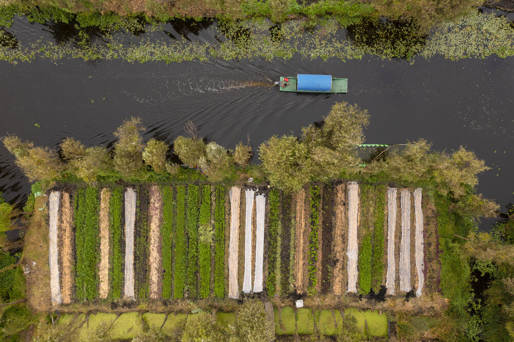 Chinampas en Xochimilco Foto: George Steinmetz para IAX Arca Tierra.JPG