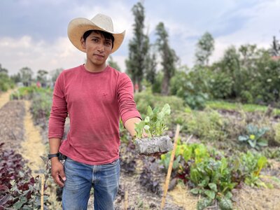 Proyecto IAX Arca Tierra Sonos 01.jpg