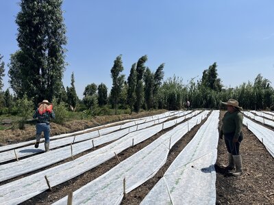 Proyecto IAX Arca Tierra Sonos 02.jpg