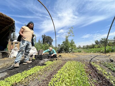 Proyecto IAX Arca Tierra Sonos 03.jpg