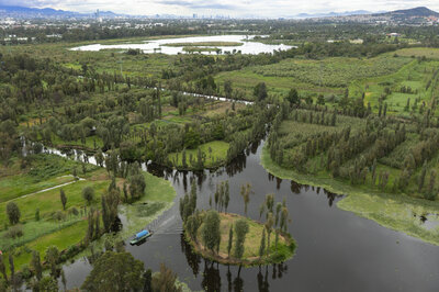 Chinampas en Xochimilco Foto: George Steinmetz para IAX Arca Tierra.JPG