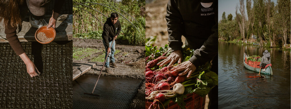 Proyecto IAX Arca Tierra Sonos 04.jpg