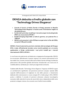 DENZA- Global entry IT