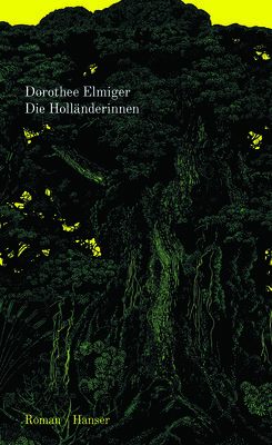 Die Holländerinnen von Dorothee Elmiger im Hanser Verlag.jpg