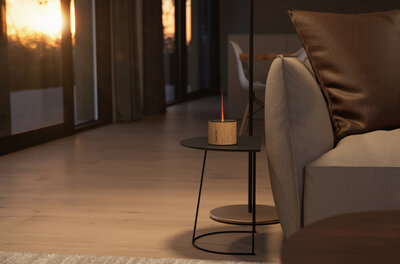 SF_Nora_lifestyle3_livingroom_landscape.jpg