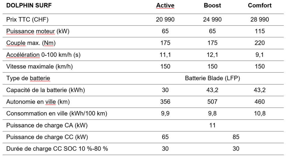 Dolphin Surf Stats FR.png
