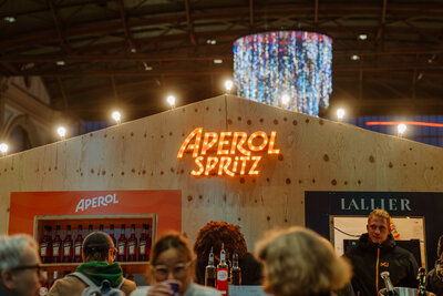 Polarzauber_ZürichHB (5 von 29)