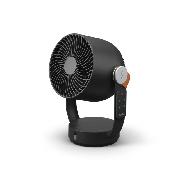 Ventilator Leo, in Schwarz, aktueller Webshop-Preis Fr. 119.-