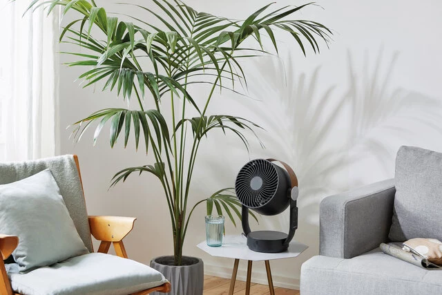 Ventilator Leo, in Schwarz, aktueller Webshop-Preis Fr. 119.-