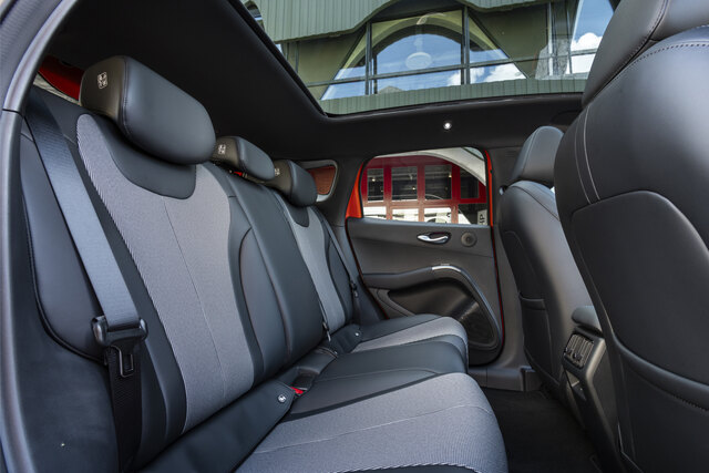 BYD_DOLPHIN_G_Interior_Seat_Back