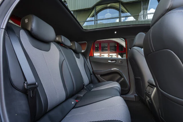 BYD_DOLPHIN_G_Interior_Seat_Back