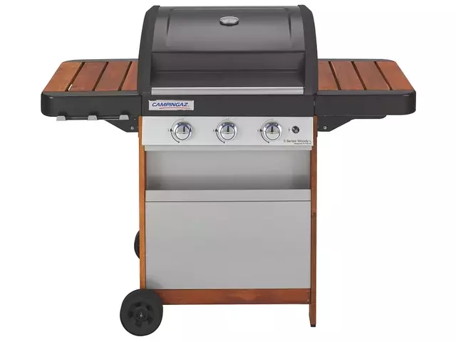 CAMPINGAZ Gasgrill, Series Woody L, bei Conforama, CHF 299.95, Outline 2.webp