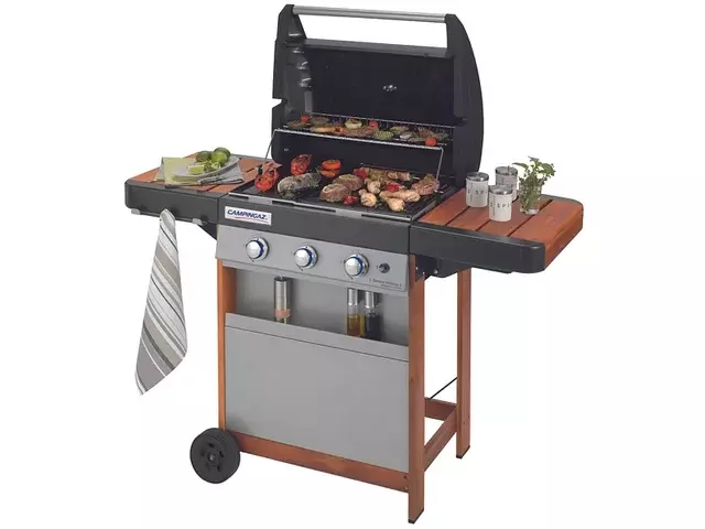 CAMPINGAZ Gasgrill, Series Woody L, bei Conforama, CHF 299.95, Outline 1.webp