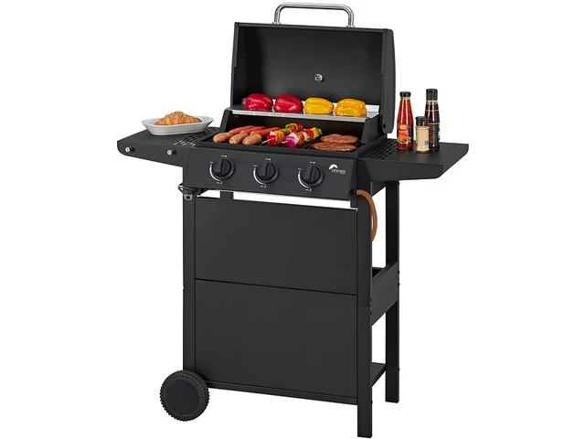 OHMEX Gasgrill, bei Conforama, CHF 299.95, Outline 1.webp