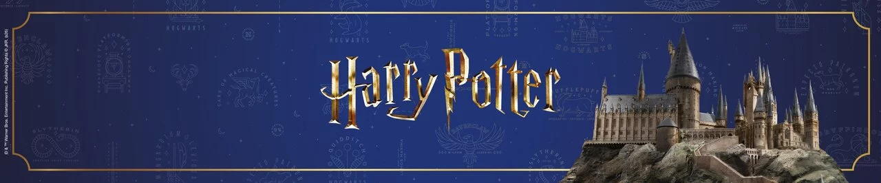 Banner Harry Potter.jpg