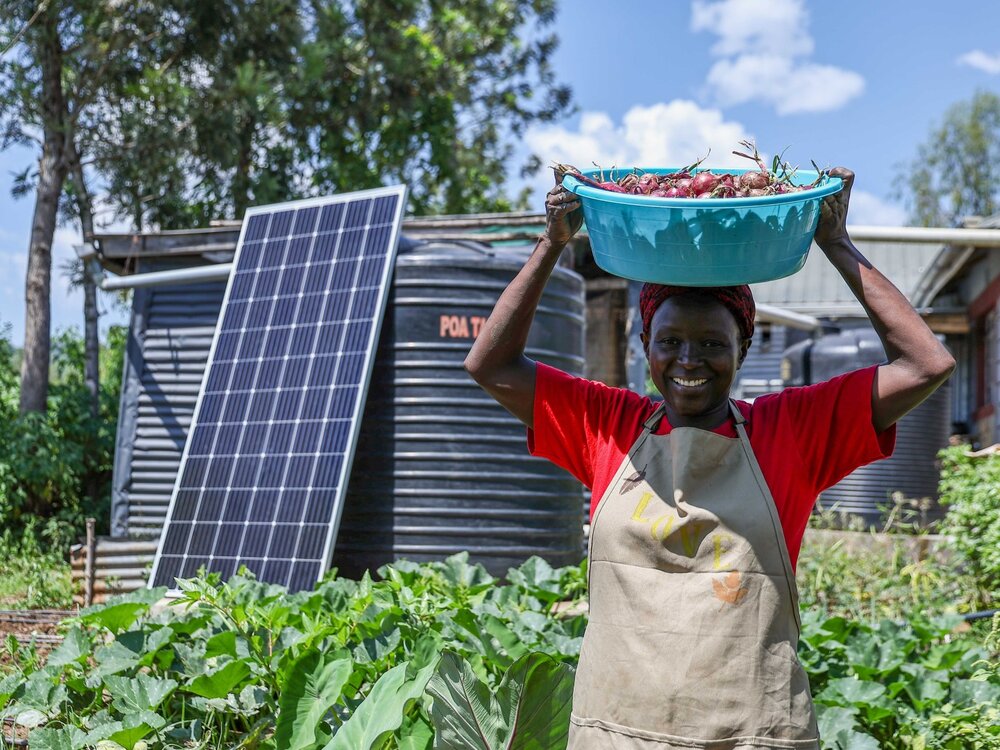 New Agri-Energy Coalition launched to tackle food-energy gaps