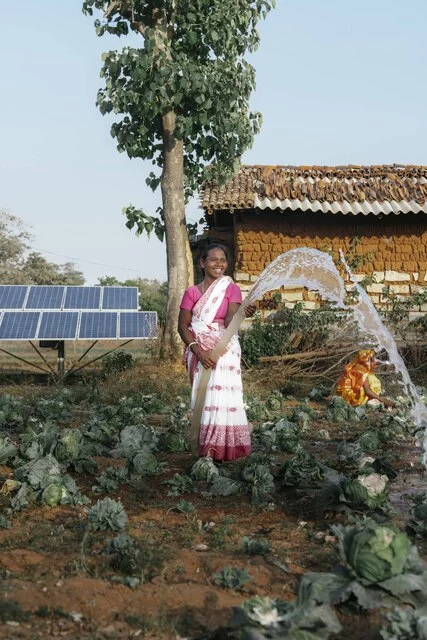 Off-grid solar water pump for irrigation, GOGLA