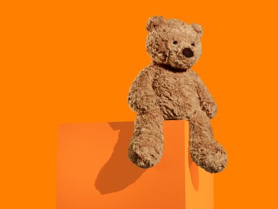 Plinth_sRGB_ALL_2024_Toys_Teddy-bear_Orange.jpg
