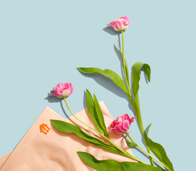 Isolated_sRGB_ALL_2024_Flowers_Overhead_Cupcake.png