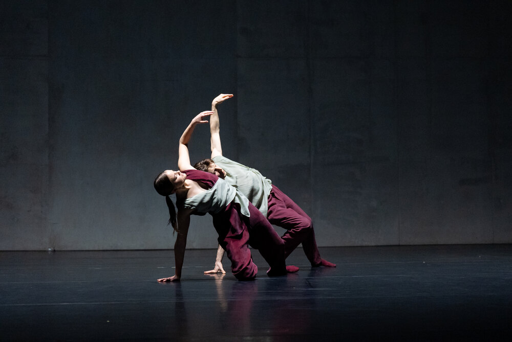 Constantin Trommlitz - Antibodies (c) Sjoerd Derine - Korzo Theater - Here We Live And Now - Den Haag (3).jpg