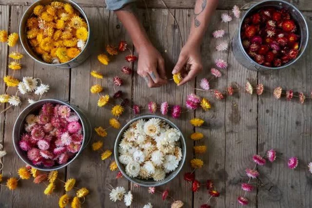 5 Eco-Savvy Gift Ideas