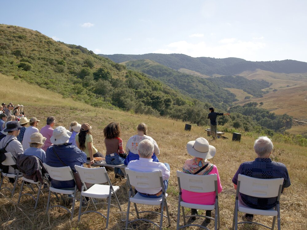 Experiencing Nature Through Music