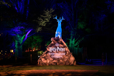 FORBIDDEN_FOREST_MONTAUBAN_GCOM_-4