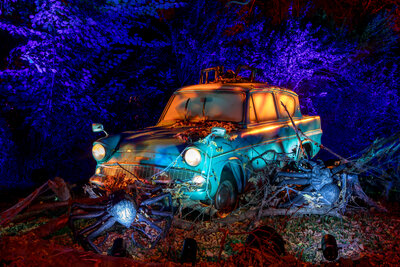 FORBIDDEN_FOREST_MONTAUBAN_GCOM_-41