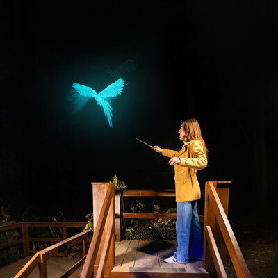 HPFF_PATRONUS_VISUAL_01