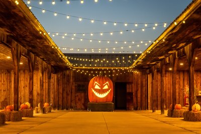 Pumpkins After Dark 2023 - NZ8_2407-HDR