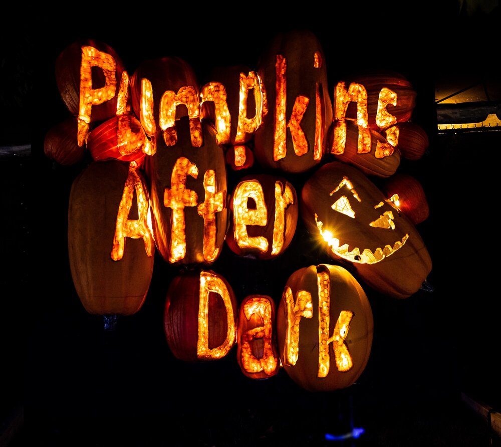 Pumpkins After Dark 2022 - 00146 - Z62_5623-HDR.jpg