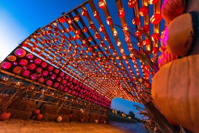 MPOSSIBLE Pumpkins After Dark - 750_8464