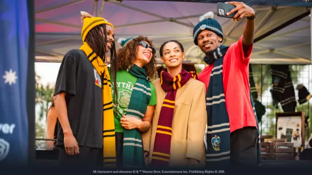 DroneArt Show: Harry Potter