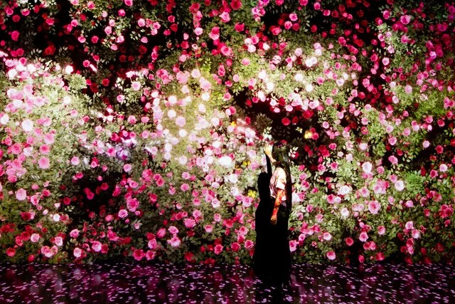 FLOWER _ROSES AND LITTLE WINGS_