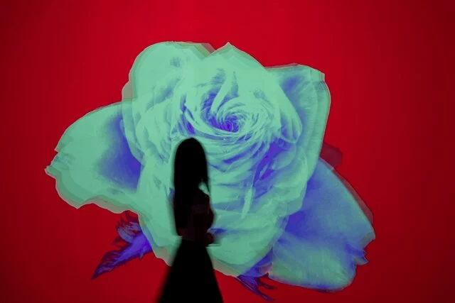 FLOWER ROSE ODYSSEY