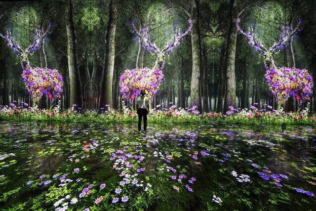 FOREST