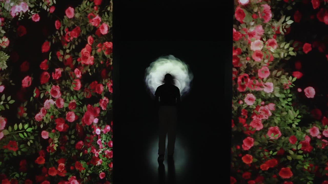 HIBISCUS SEED_3.mp4