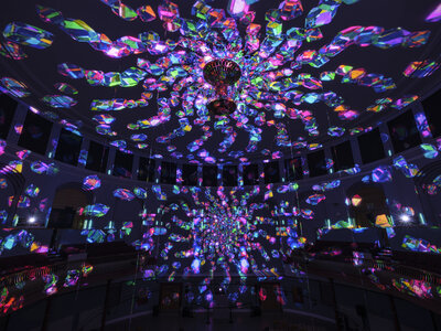 Enlightenment_Leeds_Fever_PROJEKTIL (2)